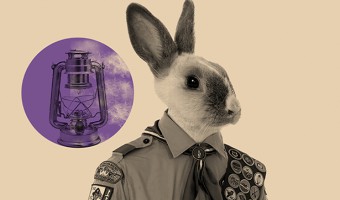 jajaja_web_banner resized